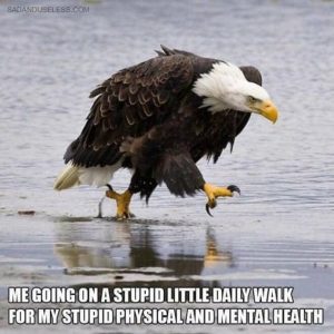 Stupid Bar Memes 60f1d0409b845e5d