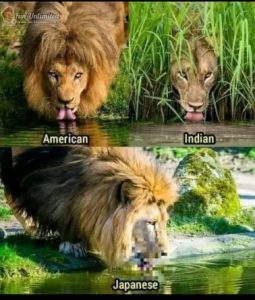 Stupid Bar Memes 6412d3db8c8bb649