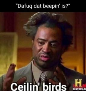 Stupid Bar Memes 641e70327d1ecdbd