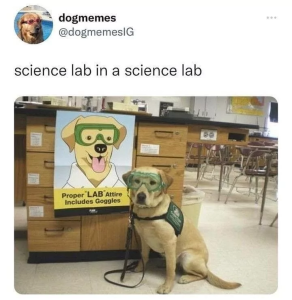Stupid Bar Memes 651c80339e97a