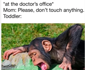 Stupid Bar Memes 651c82862d02e