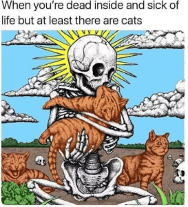Stupid Bar Memes 6529c62ba3d23