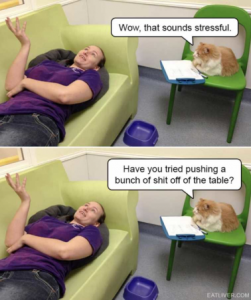Stupid Bar Memes 6a18508740271eea