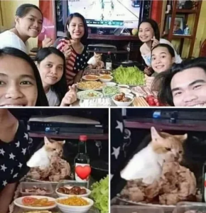 Stupid Bar Memes 6f6926ba90077ed9