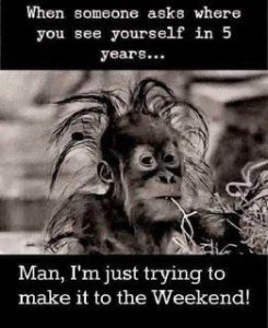Stupid Bar Memes 70e95ae5922adc0b