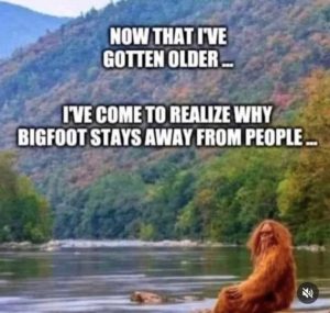 Stupid Bar Memes 75d24c7fa5d8365b