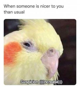 Stupid Bar Memes 7c777306d631b33d