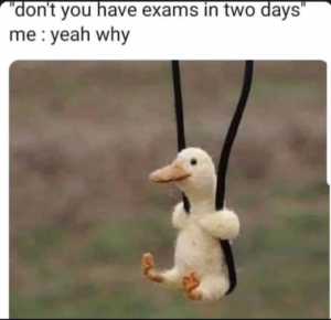 Stupid Bar Memes 7d9672dc73567dbf