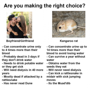 Stupid Bar Memes 8936b54f2697033f