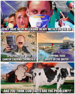 Stupid Bar Memes 8c6adfcd9739cb67