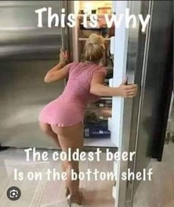 Stupid Bar Memes 8ea6f791a53d53e3