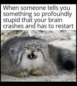 Stupid Bar Memes 98cd0abbda51e86c