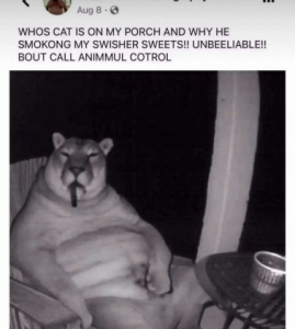 Stupid Bar Memes 98e3e2ee9e165060