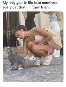 Stupid Bar Memes 9Iov8ci