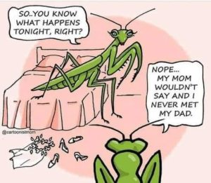 Stupid Bar Memes 9a286bd2ee89e6fd