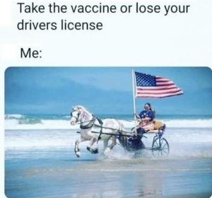 Stupid Bar Memes 9b255cd0dfbb1eb5