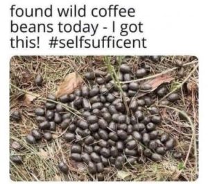 Stupid Bar Memes 9c787325a7ac188c