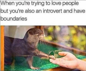 Stupid Bar Memes 9cca4c1a9bebce96
