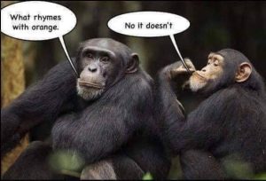 Stupid Bar Memes 9cf0b7eef83f9bb6