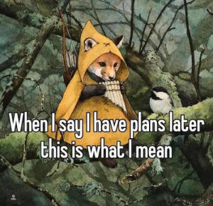 Stupid Bar Memes 9lJk8ok