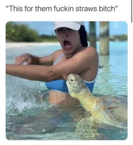 Stupid Bar Memes Pz0qcZT