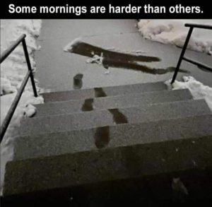 Stupid Bar Memes QXIpobP