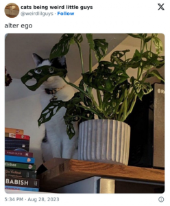 Stupid Bar Memes Screenshots2023s10s24sats9.49.13sAM