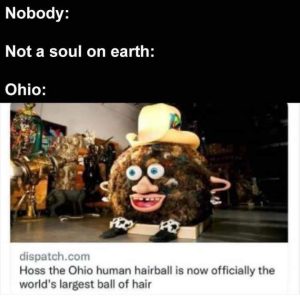 Stupid Bar Memes SkSd3Gi