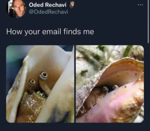Stupid Bar Memes U0aK39X