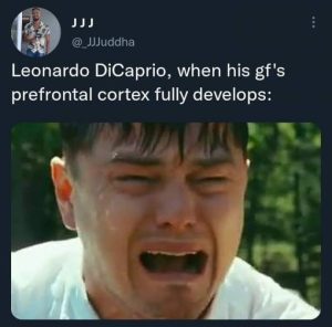 Stupid Bar Memes XYawgPD
