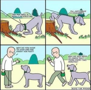 Stupid Bar Memes a6213144e03aa01d