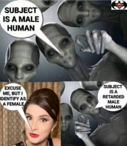 Stupid Bar Memes a85cdaedce22d5ef