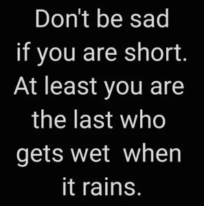 Stupid Bar Memes a8qvNj6s460swp