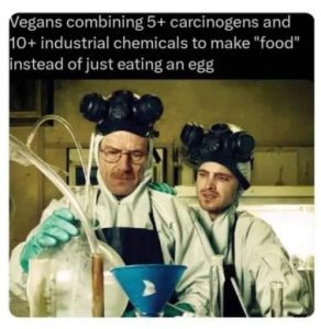 Stupid Bar Memes aac8d7fe05e5db6d