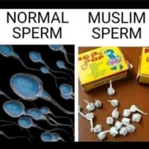 Stupid Bar Memes ab481c8f66d262ba
