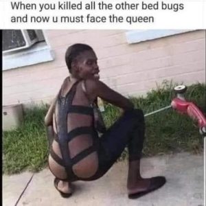 Stupid Bar Memes ab879857ce033953