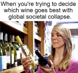 Stupid Bar Memes ac5937b72b7da117