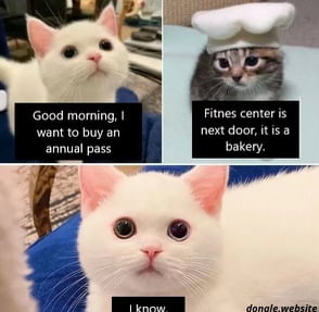 Stupid Bar Memes adPMOvjs700b