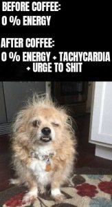 Stupid Bar Memes adPWEQds700b