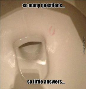 Stupid Bar Memes ae7b5bf8e87bcb0d