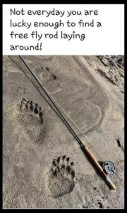 Stupid Bar Memes afaa382427ce2c3a