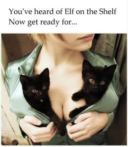 Stupid Bar Memes ap97NxEs700b