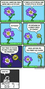 Stupid Bar Memes axoexpYs700b