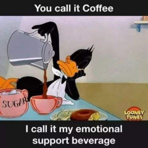 Stupid Bar Memes b195155249e50208