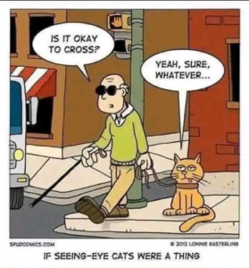Stupid Bar Memes b4543111d992aa9e