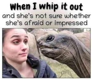 Stupid Bar Memes b558c4a92d4e4311