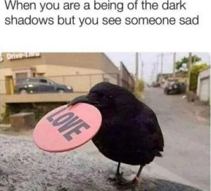 Stupid Bar Memes b79492850be07236