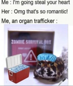 Stupid Bar Memes ba3a8882699d33f1