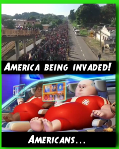 Stupid Bar Memes bbac4556009546d9