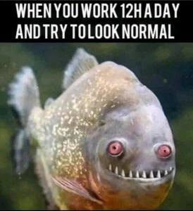 Stupid Bar Memes bc6a52d0bc946dab